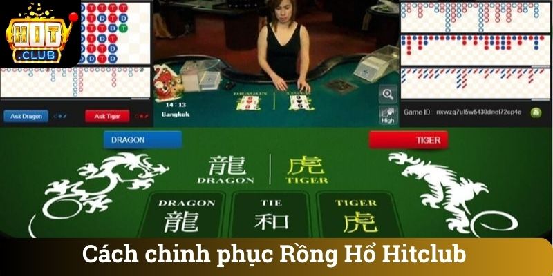 Cách chinh phục Rồng Hổ Hitclub