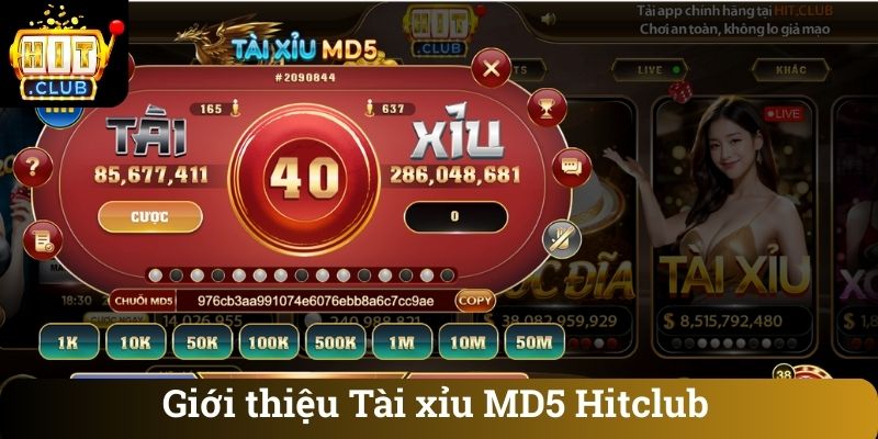 Giới thiệu Tài xỉu MD5 Hitclub